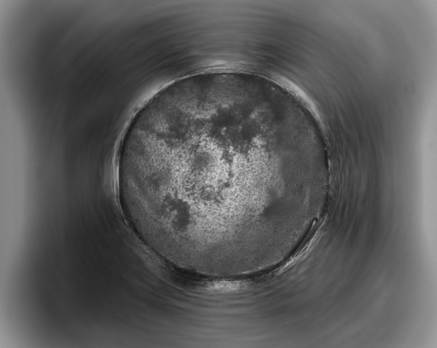 X0000095881419200801181156