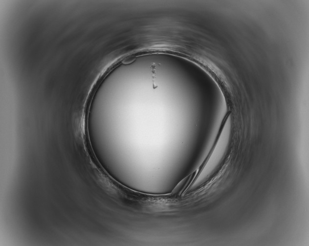 X0000095881420200801181156