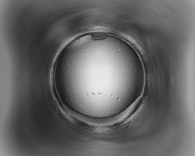 X0000095881421200801181156