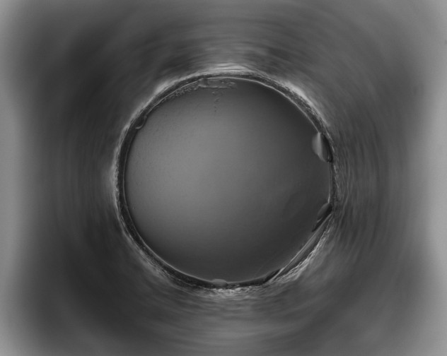 X0000095881422200801181156