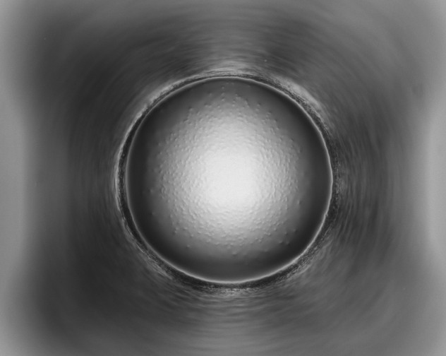 X0000095881423200801181156