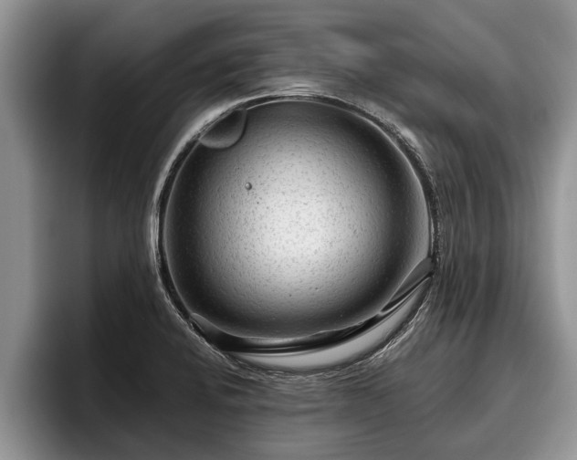 X0000095881424200801181156