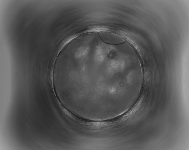 X0000095881425200801181156