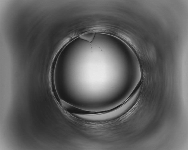 X0000095881426200801181156