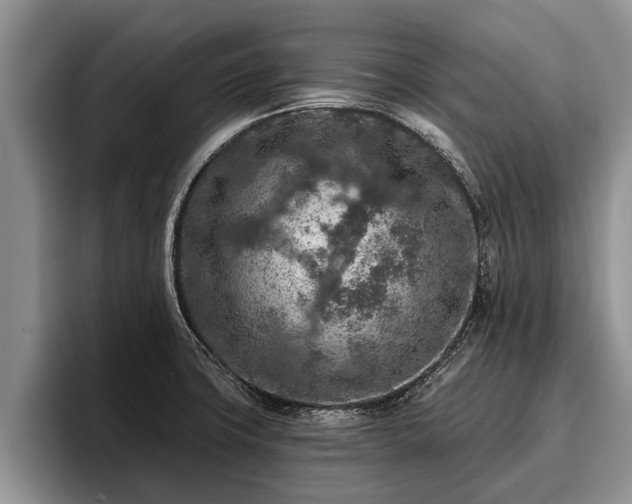X0000095881427200801181156