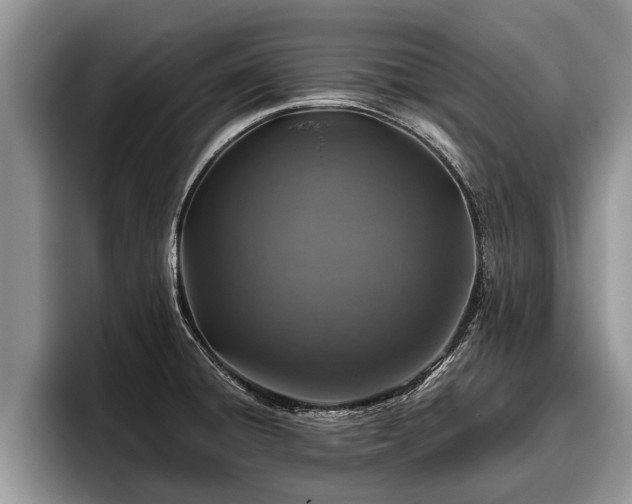 X0000095881428200801181156