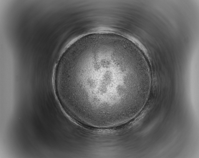 X0000095881429200801181156