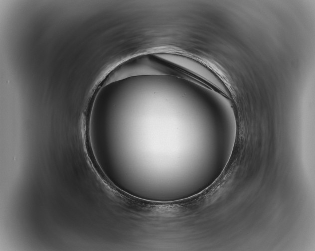 X0000095881430200801181156