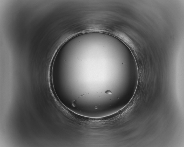 X0000095881431200801181156