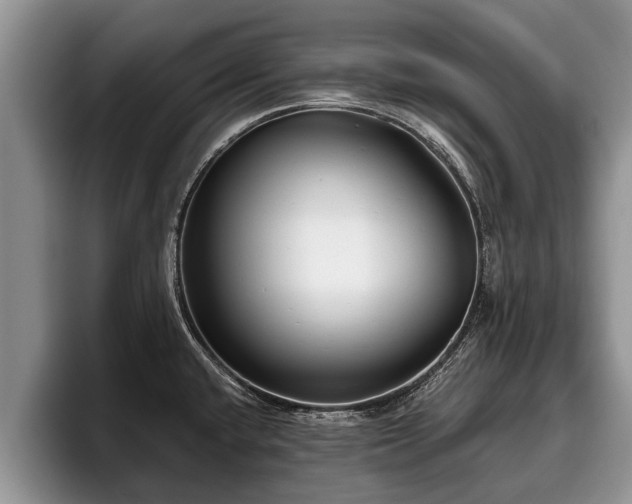 X0000095881432200801181156