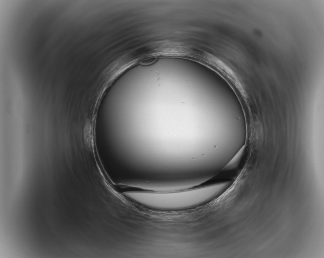 X0000095881433200801181156