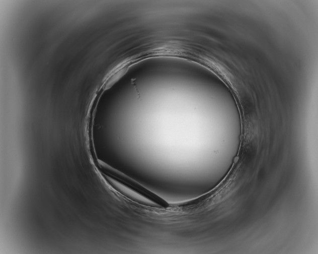 X0000095881434200801181156