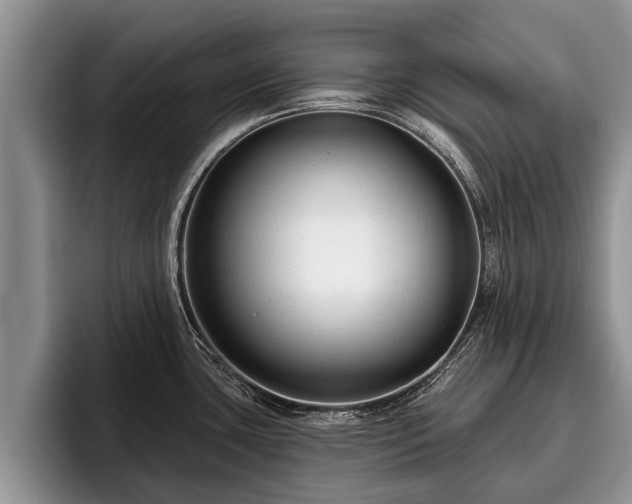 X0000095881435200801181156