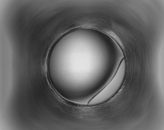 X0000095881436200801181156