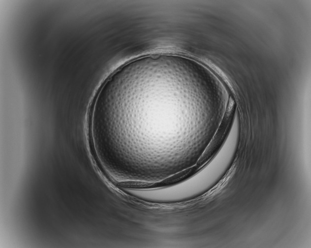 X0000095881438200801181156