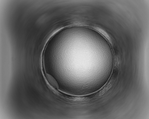 X0000095881439200801181156
