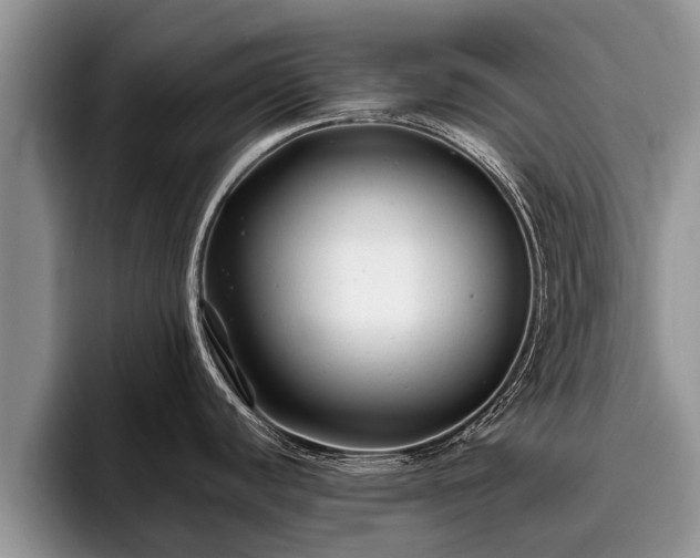 X0000095881440200801181156