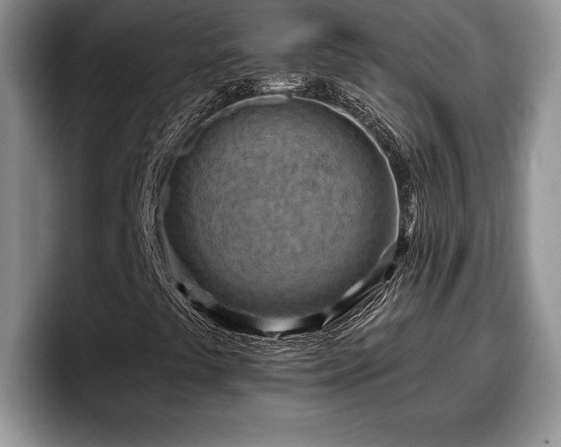 X0000095881441200801181156