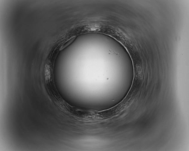 X0000095881442200801181156