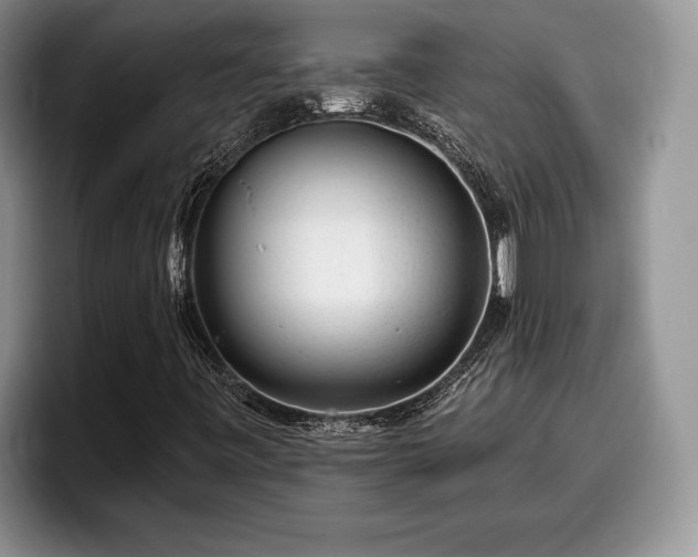 X0000095881443200801181156
