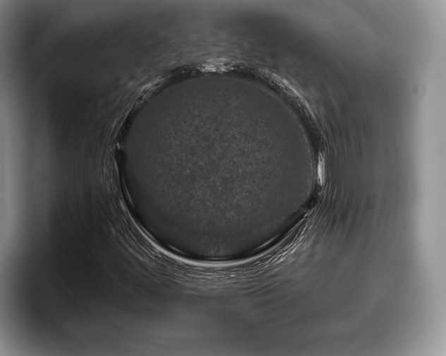 X0000095881444200801181156