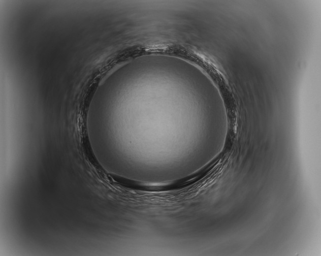 X0000095881445200801181156