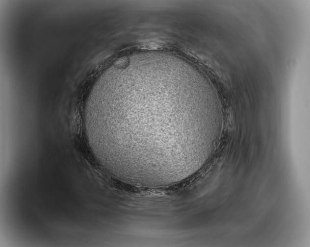 X0000095881446200801181156