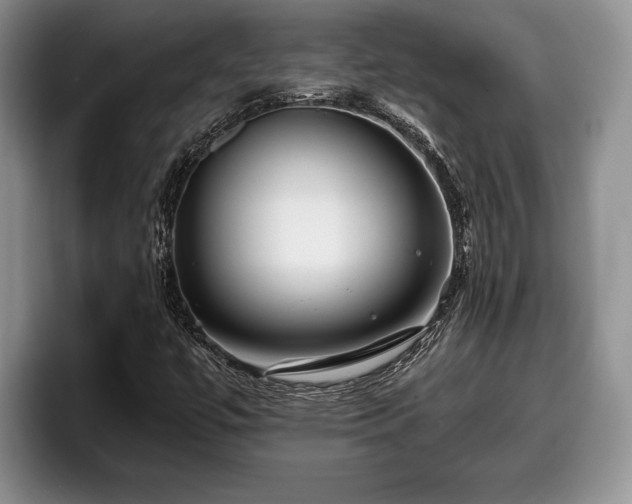 X0000095881447200801181156
