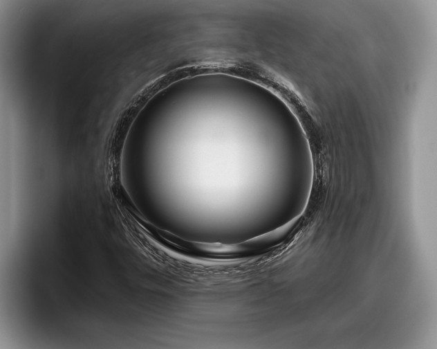 X0000095881448200801181156