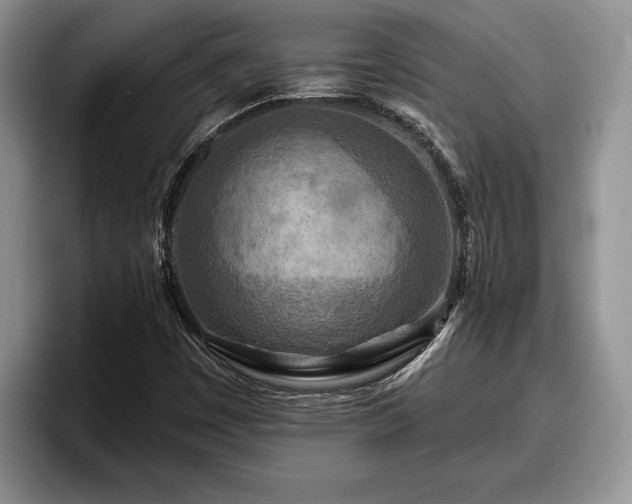 X0000095881449200801181156