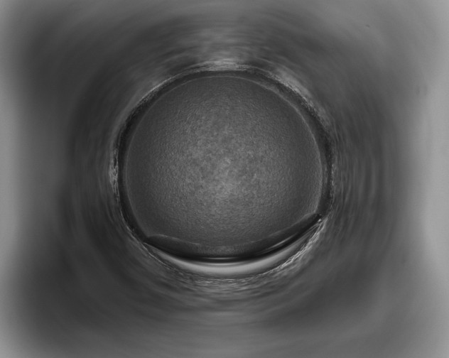 X0000095881450200801181156