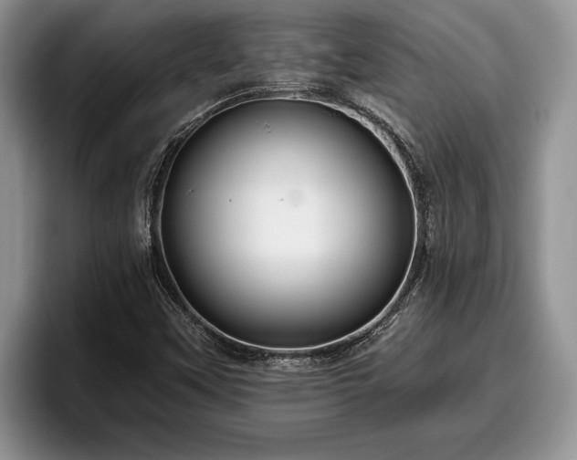 X0000095881451200801181156