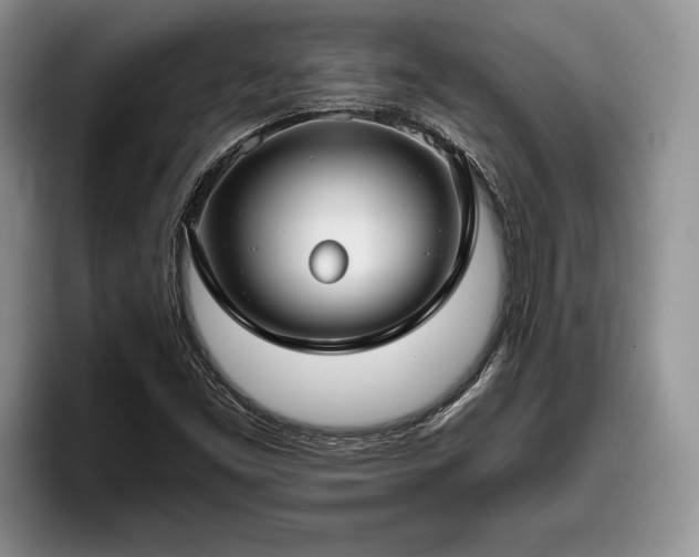 X0000095881453200801181156