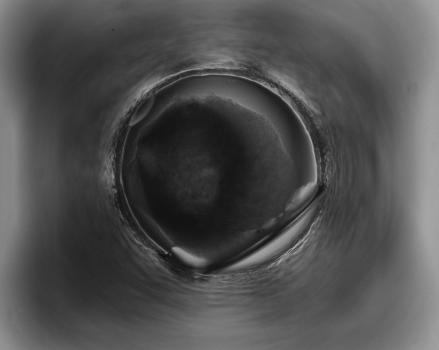 X0000095881455200801181156
