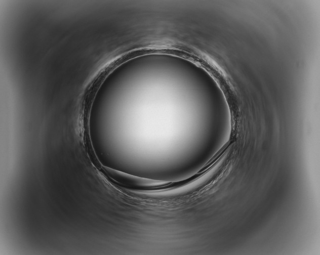 X0000095881456200801181156