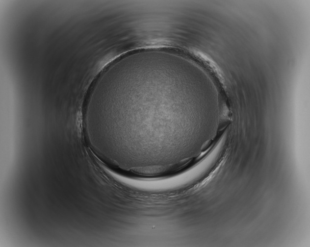 X0000095881457200801181156