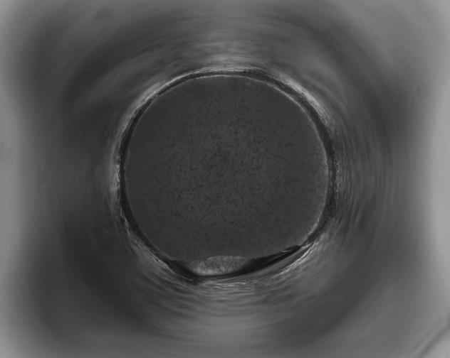X0000095881459200801181156