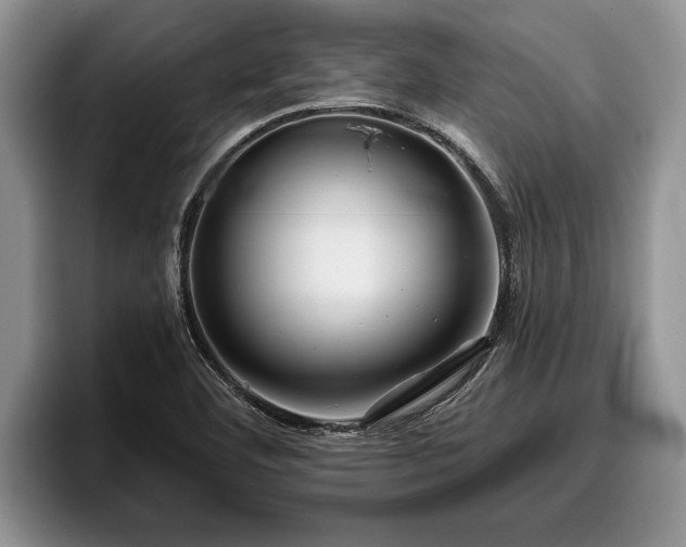 X0000095881460200801181155