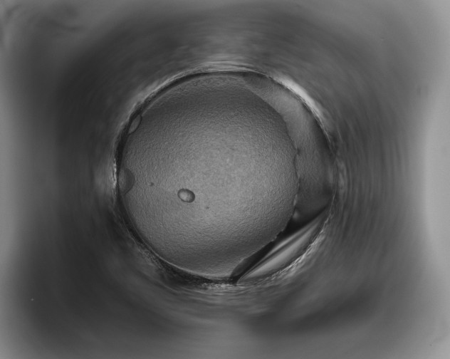 X0000095881461200801181155