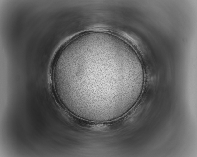 X0000095881462200801181155