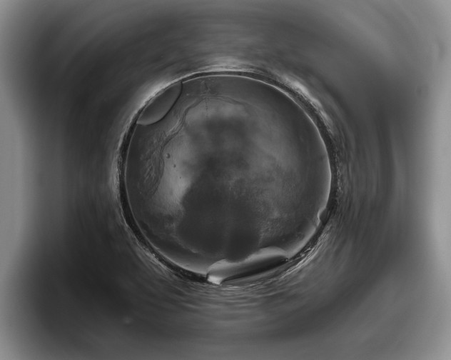 X0000095881463200801181155