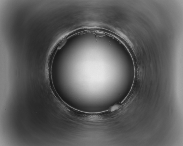X0000095881464200801181155