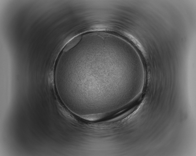 X0000095881465200801181155