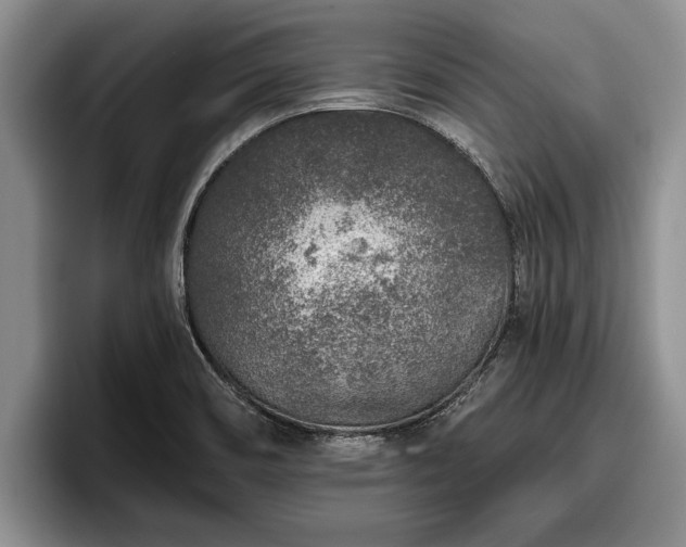 X0000095881466200801181155