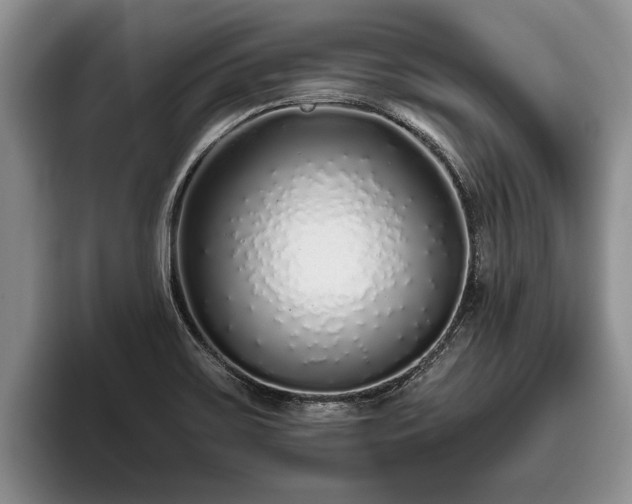 X0000095881467200801181155
