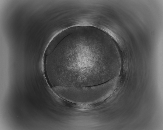 X0000095881468200801181155
