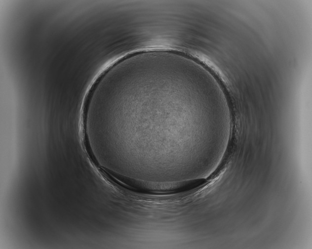 X0000095881469200801181155