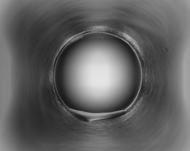 X0000095881473200801181155