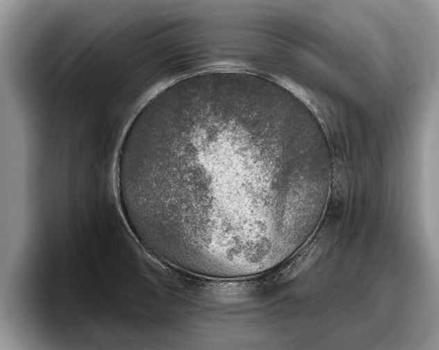 X0000095881474200801181155
