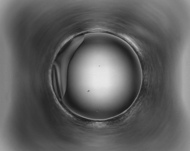 X0000095881476200801181155